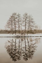 Winter landscape by Sanne van Pinxten