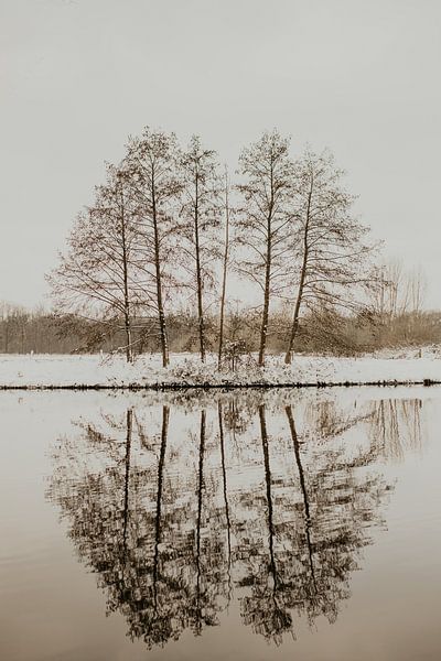 Winters landschap van Sanne van Pinxten