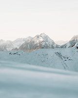 Schweizer Alpen