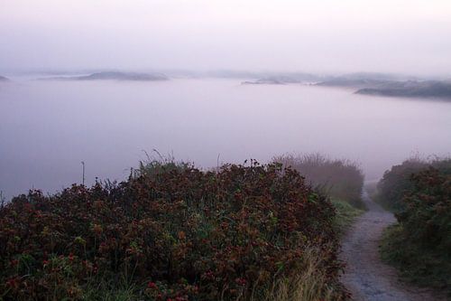 Mist in de duinen met wandelpad naar Katwijk