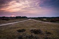 Sonnenuntergang in der Tafelbergheide von Naresh Bhageloe Miniaturansicht