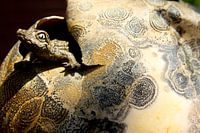 Kroko, Krokodil