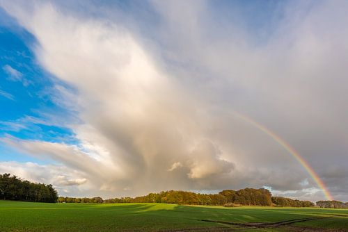 Regenbogen und Regenwolke in der Abendsonne