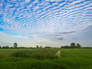 lucht van snippephotography