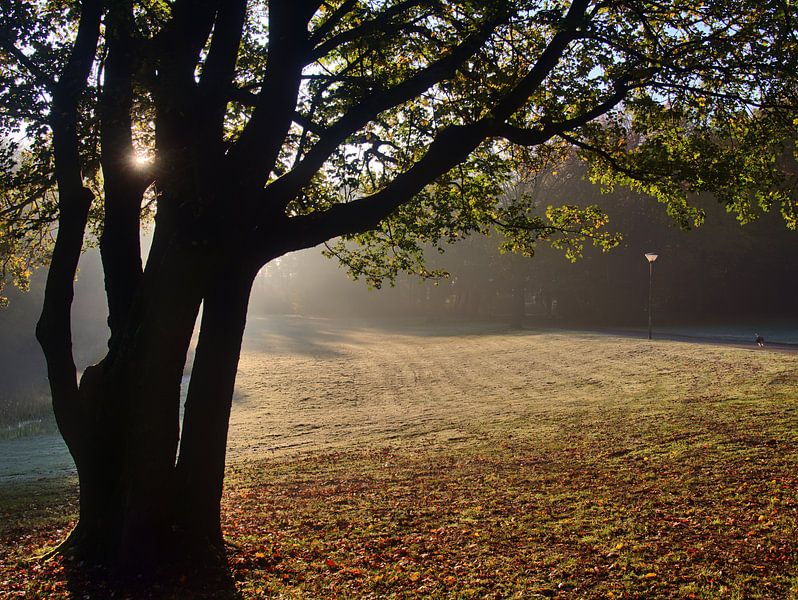 givre rauque 5 par Edgar Schermaul