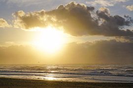 Strandleven! by Dirk van Egmond
