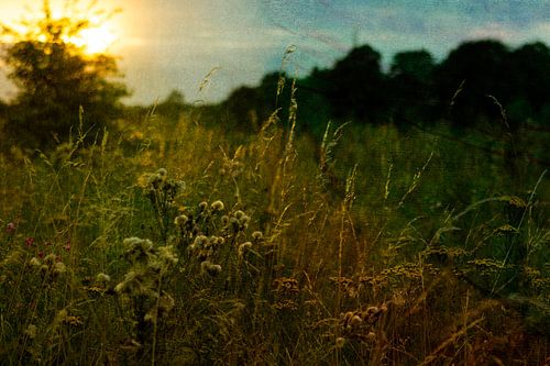 Zonsondergang over het grasland van Frans Gesell