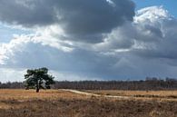 Nuages par Hetwie van der Putten Aperçu