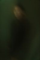 Green night vision - Conceptuele fotografie print