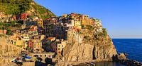Manarola, Cinque Terre, Italië van Henk Meijer Photography thumbnail