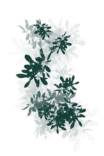 Botanical - Abstract art
