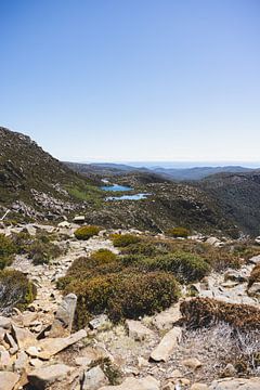 Mount Field: Juweel van Tasmanië's Wildernis van Ken Tempelers