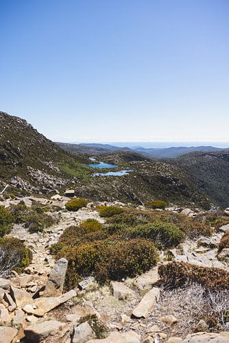 Mount Field: Juweel van Tasmanië's Wildernis