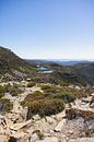 Mount Field: Jewel of Tasmania's Wilderness by Ken Tempelers thumbnail