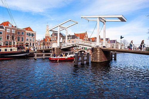 Haarlem the Chicken Bridge