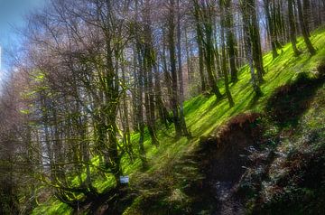 Coto de caza publico -Public hunting area