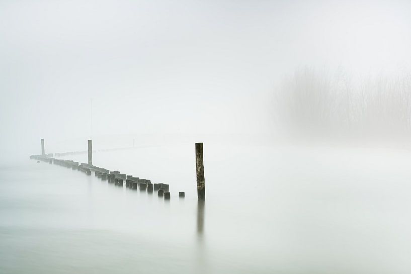 Flusslandschaft im Nebel (Wageningen) von Eddy Westdijk