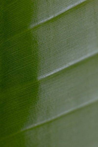 Magazine d'été par Marika Huisman fotografie