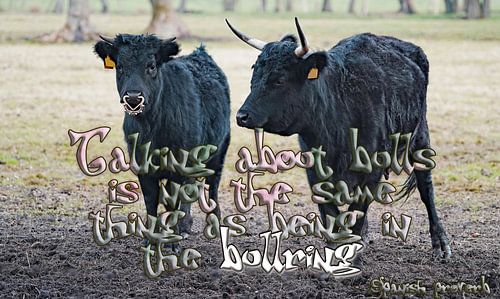 Praten over stieren is niet hetzelfde als in de arena zijn