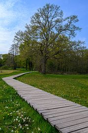 Renkum-Bachtal von Peter Bartelings