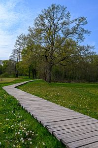 Renkum-Bachtal