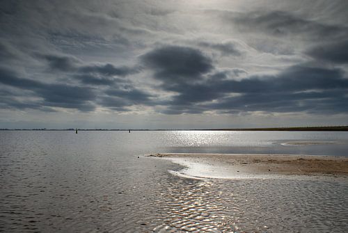 Insel  von Albertus Koekoek