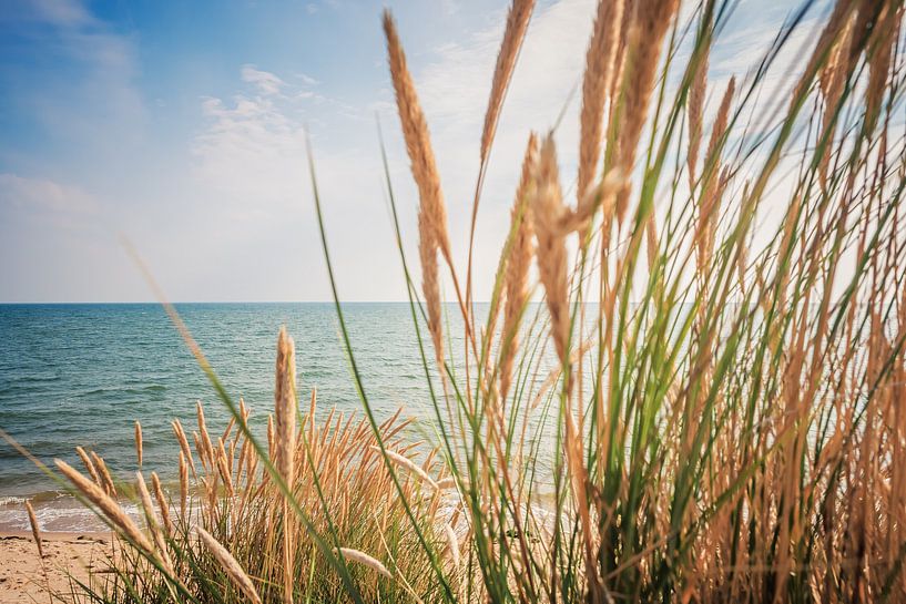 Sylt by Alexander Voss