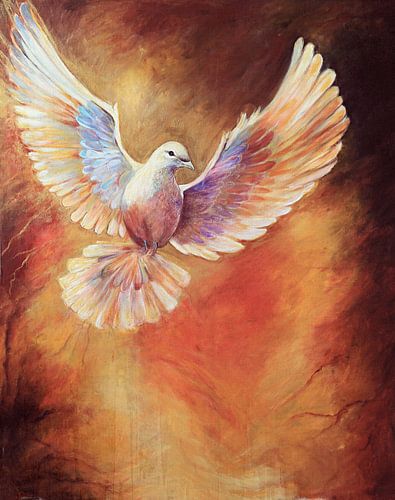 the power of peace.. ( de kracht van vrede)