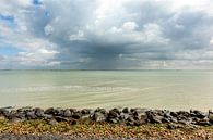 Westerschelde van Arthur Schotman thumbnail