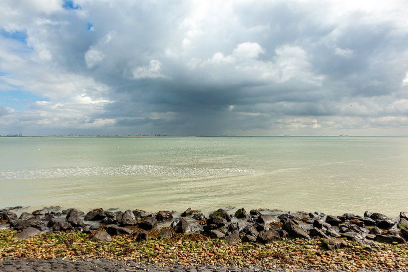 Westerschelde van Arthur Schotman