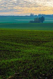 Bunte Sonnenaufgang an einem nebligen Morgen unter den Wiesen im Herbst von Kim Willems