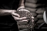 Koffiebranderij (ambacht in close-up)