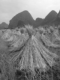 Yangshuo, China von Pieter Boogaard