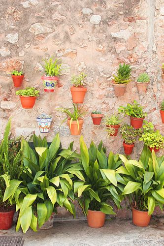 Valldemossa flower pots by Inge Hogenbijl