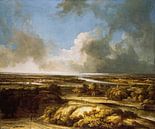 Eine Panoramalandschaft, Philips Koninck von Meisterhafte Meister Miniaturansicht