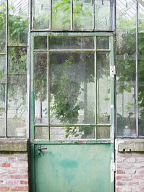 Old glass greenhouse with a green door and grapes by Ebelien