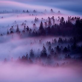 Purple Fog Above Hill by Sam Mannaerts