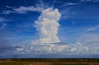 Wolkenlucht Bonaire (Nederlands Antillen) van Loraine van der Sande thumbnail
