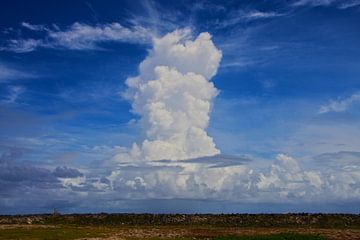 Wolkenlucht Bonaire (Nederlands Antillen) von Loraine van der Sande