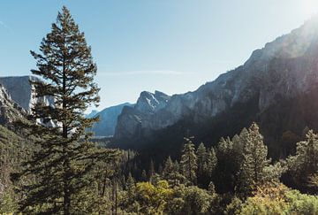 Uitkijkpunt El Capitan Yosemite National Park | Reisfotografie fine art foto print | Californië, U.S van Sanne Dost