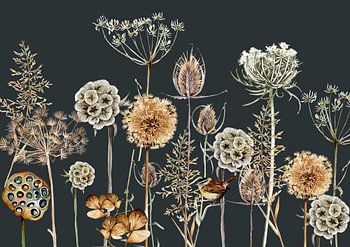 Winterlandschaft Zweige Zaunkönig