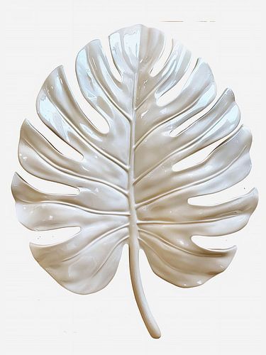 monstera blanche