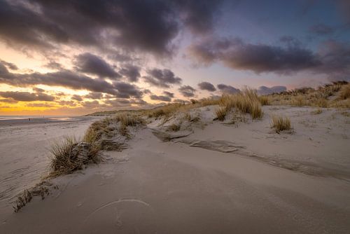 Dune landscape on Texel