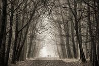 Eenzaam in de mist van Sandra Kuijpers thumbnail
