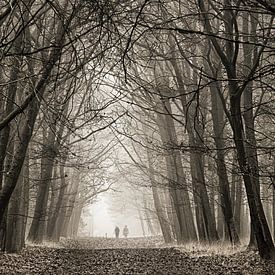 Eenzaam in de mist van Sandra Kuijpers