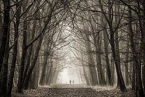 Eenzaam in de mist van Sandra Kuijpers