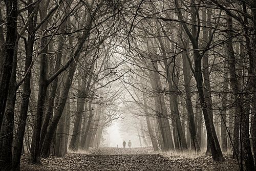Eenzaam in de mist van Sandra Kuijpers