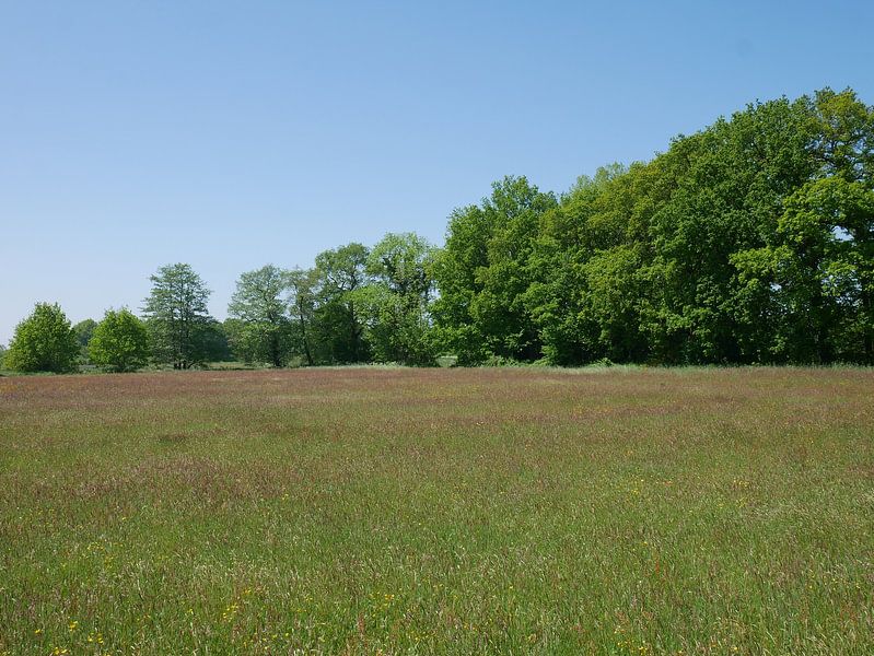 Nur ein Bild von einem Heufeld. von Wim vd Neut