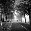 Charles Eyckpark in Maastricht in de mist met fietser van Streets of Maastricht