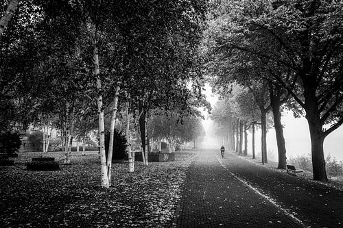 Charles Eyckpark in Maastricht in de mist met fietser van Streets of Maastricht